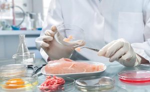 Molecular Methods For Food Safety Testing