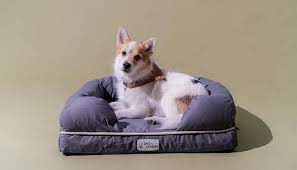 Pet Beds Market