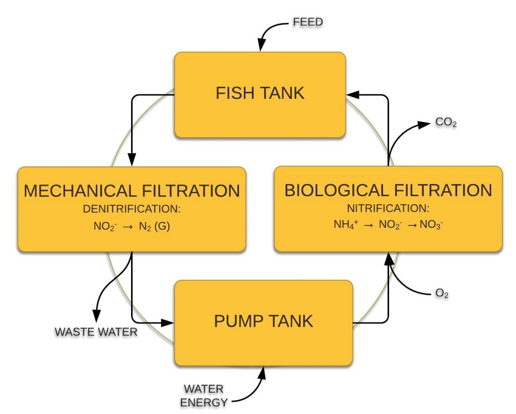 Recirculating Aquaculture Systems Market