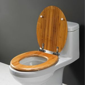 Traditional Toilet Seat